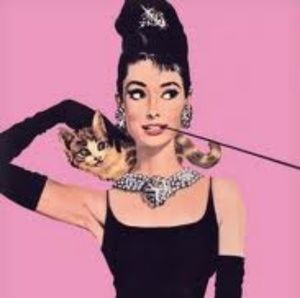 Meet your Posher, MP